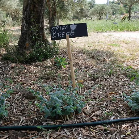 Pantalica Ranch Siciliano *
