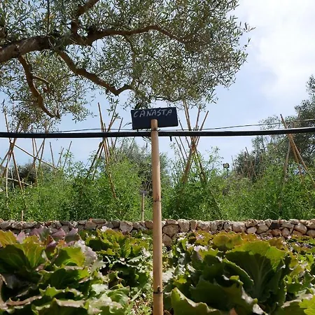 Pantalica Ranch Siciliano Sortino
