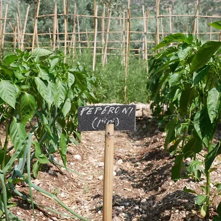Pantalica Ranch Siciliano