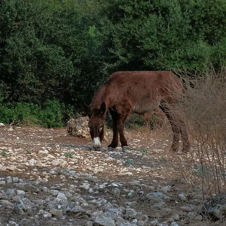 Pantalica Ranch Siciliano